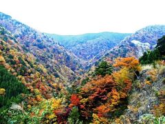 ���열�_�X�J�C���C���̍g�t�̎ʐ^1