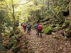 ���Ìk�J�ӂꂠ���g���b�L���O���̎ʐ^1