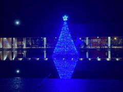 �O���i���G in �O�����g�� �̎ʐ^1