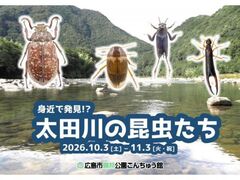 �L���s�X�ь������񂿂イ�ف@���W�u�g�߂Ŕ���!?���c��̍��������v�̎ʐ^1