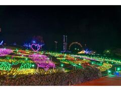 �݂낭�̗��@�E�B���^�[�C���~�l�[�V�����@�L�����L�m�Z�J�C�@�`winter MAGIC�`�̎ʐ^1