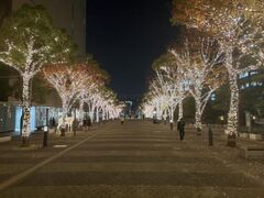 �����V���{���^���[�@�E�B���^�[�C���~�l�[�V�����̎ʐ^1