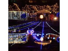 Heart Light Festa 2026�̎ʐ^1