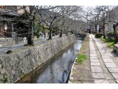 �N�w�̓��̍��̎ʐ^1