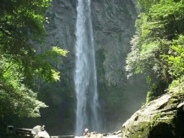 ���ŉ��̑�