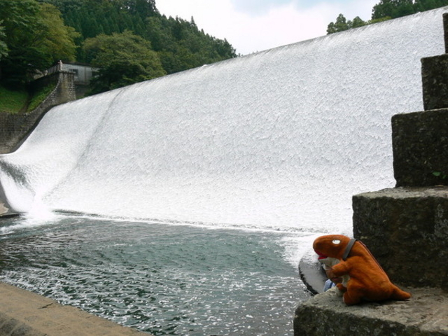 �����_��