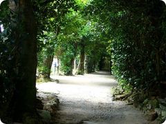 kao̔̃tNM؂ւ̓eʐ^1