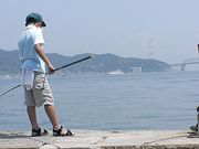 ���ڂ�������̉��㓇�i���h�哇�j�̓��e�ʐ^1