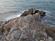 �����肱����֖̊�@�̓��e�ʐ^1