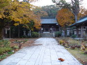 �Ă������p�p����̍L���_�Ёi�啪���|�c�s�j�̓��e�ʐ^1