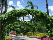 ~J̓̉w Ȃ񂲂̓eʐ^1