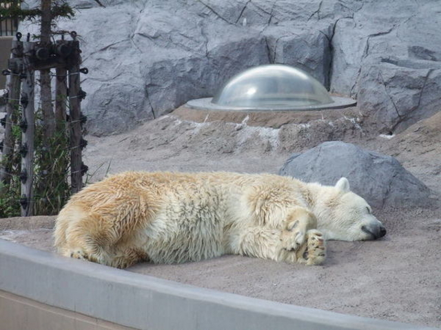 ���R������