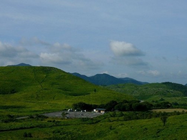 �X�G�X�G����̒��҃P�X�̓��e�ʐ^1