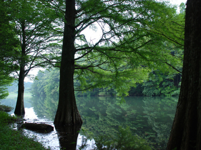 広川原池