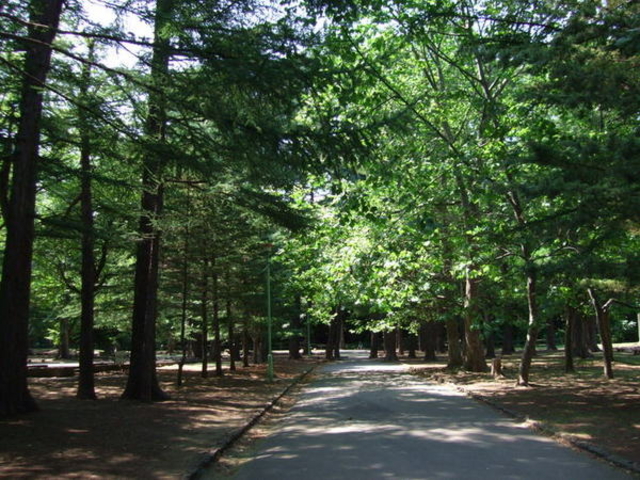 �~�R����