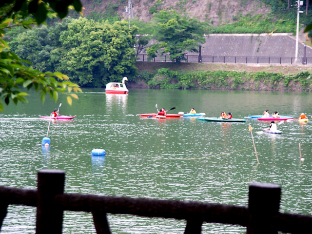 �r�̓��΁i�̌��ό��j