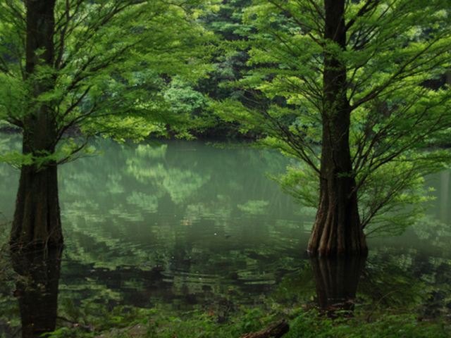 広川原池