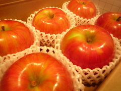 ݂̐ԗό񂲁Au[x[ւ̓eʐ^1