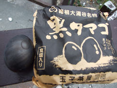 ��������̂ւ̓��e�ʐ^1