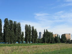 T-ORI̖k|v؂ւ̓eʐ^1