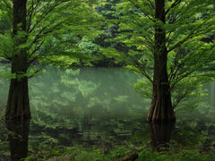 ヒガシさんの広川原池への投稿写真1