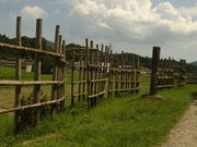 ݂˂񂳂̒E݊yՂ̓eʐ^1