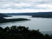 ƂЂ낳̃T{W]̓eʐ^1