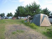 ܁[񂳂̖菼CELv̓eʐ^1