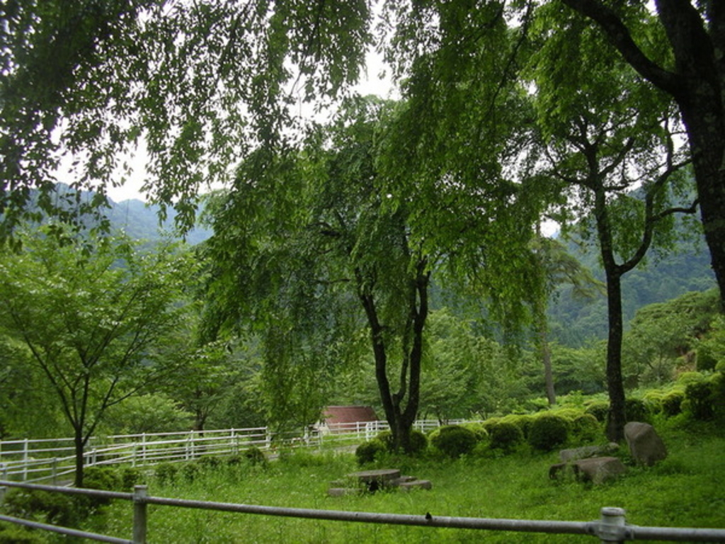 松川緑地