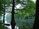 ヒガシさんの広川原池への投稿写真2