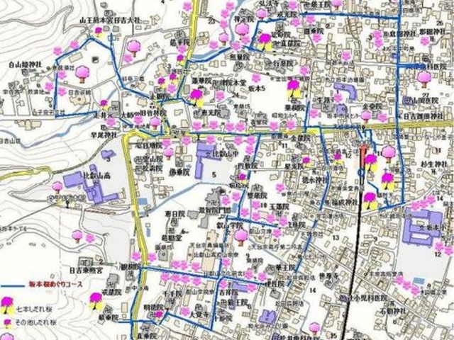 ����������̑��}���̓��e�ʐ^1