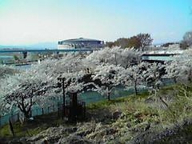 再築前橋城土塁跡】アクセス・営業時間・料金情報 - じゃらんnet 再築前橋城土塁跡】アクセス・営業時間・料金情報 - じゃらんnet