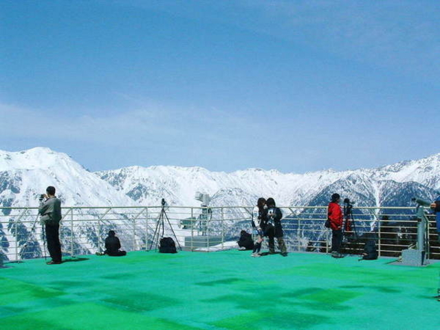 �V�䍂����