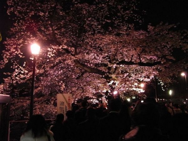 �璹�P������