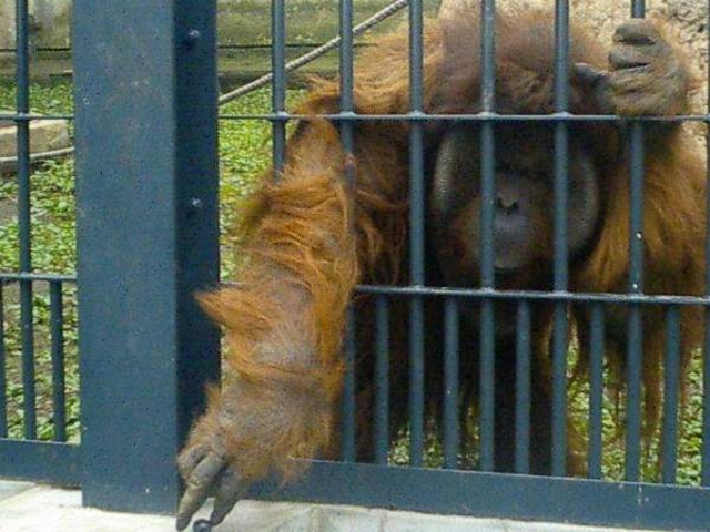 ���R������