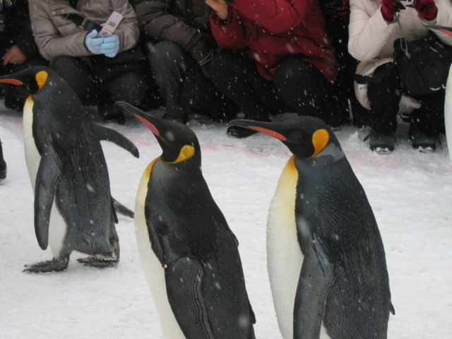 ���R������