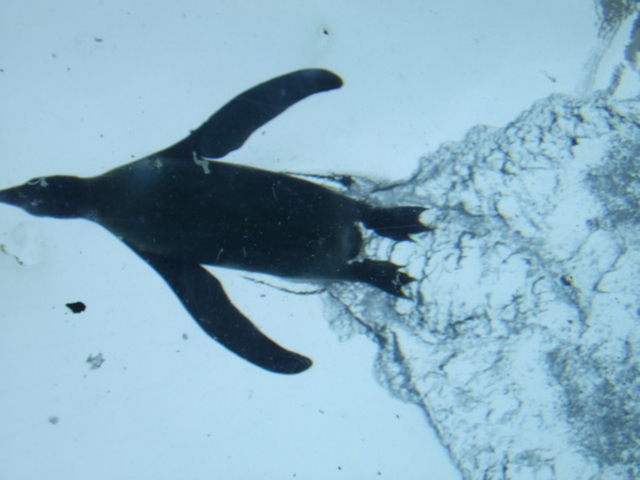 ���R������