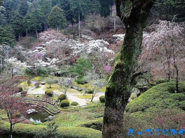 ܂ǂ̐ΎR̍̓eʐ^1