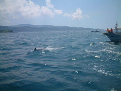 XX̃CJEHb`O VÊόDւ̓eʐ^1