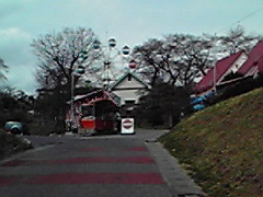 ���R�����̍��̎ʐ^1