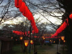 䂫̐Ώ_{̍ւ̓eʐ^1