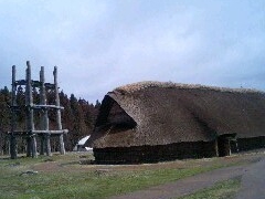 ܂ɂ̎OێRՂւ̓eʐ^1