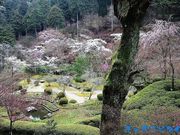 �܂������ǂ�������̐ΎR���̍��̓��e�ʐ^1