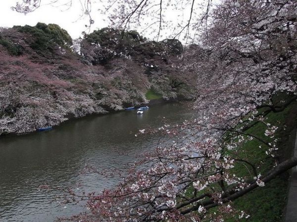 千鳥ケ淵公園