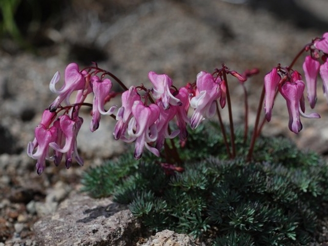 ���R�i���x�j