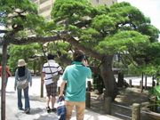 �x�t�j�h�m�f����̌������̓��e�ʐ^1