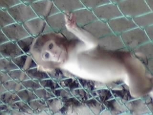 ����R���R������