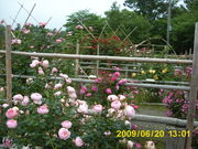 񂿂񂳂̑_Z^[̓eʐ^1