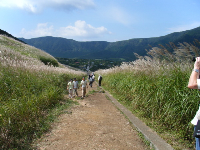 ��Ό�����