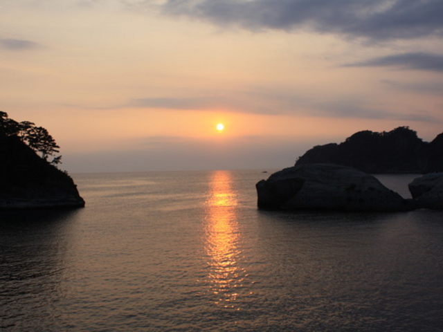 ���P�������߂���V���D